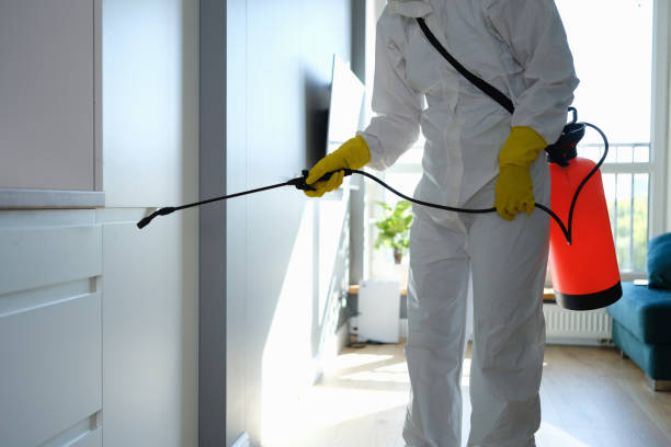 Best Emergency Mold Removal  in Oakbrook Terrace, IL